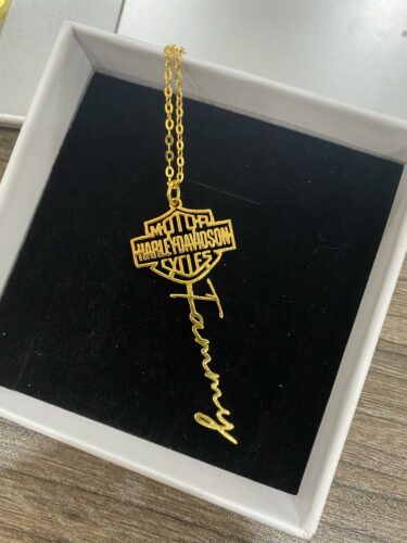 Customize Your Name With HLD Necklace High Quality 925 Sterling Silver 18K Gold 18K Rose Gold photo review