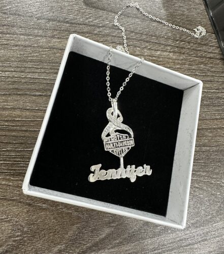 Customize Your Name With HLD Necklace High Quality 925 Sterling Silver Version 7 photo review