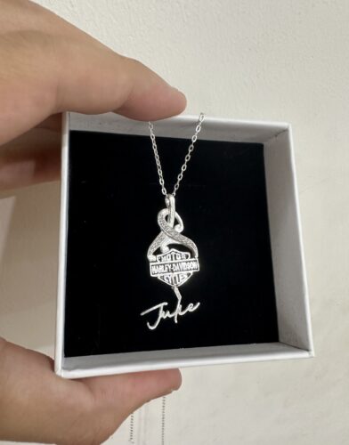 Customize Your Name With HLD Necklace High Quality 925 Sterling Silver Version 7 photo review