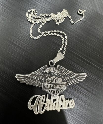 Customize Your Name With HLD Biker Necklace Eagle Pendant Neklace High Quality 925 Sterling Silver photo review